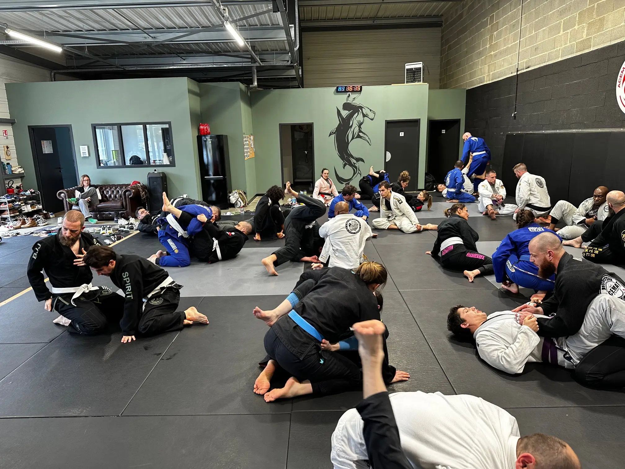 Un cours de jiu-jitsu brésilien au club, le tapis rempli de binômes en kimono.